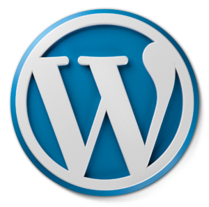 Mastering WordPress Customization