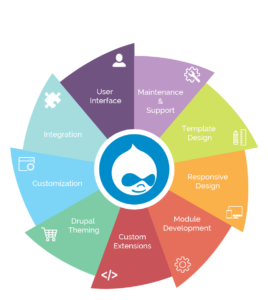 Drupal Development: The Essential Resource for Accessing Its Full Potential