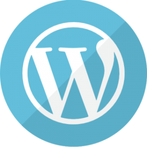 WordPress Development: Using the Power